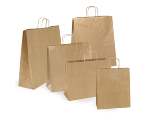 Paper Carrier Bags in Bangalore